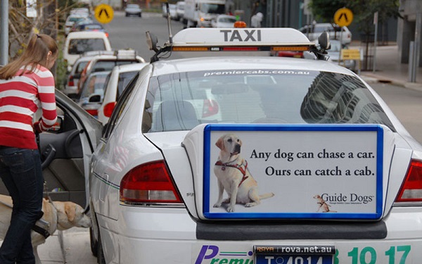 quảng cáo trên xe taxi các nước trên thế giới