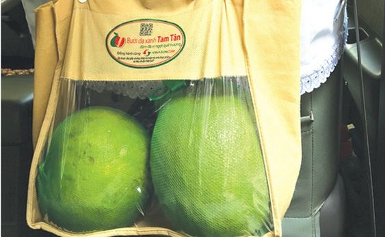bán bưởi trên taxi vinasun